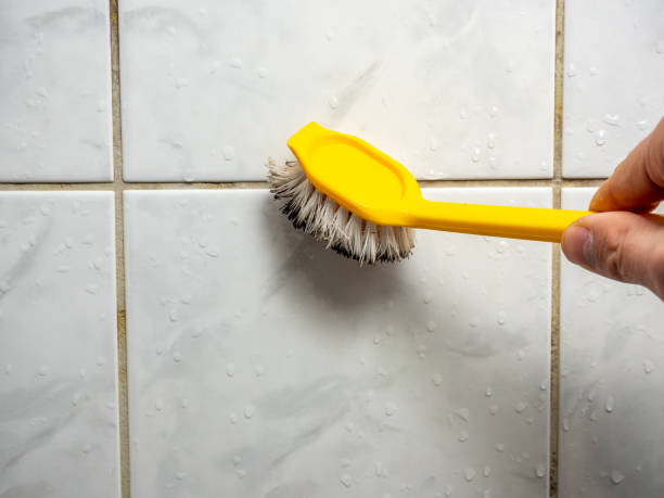 Mold Removal Process in Yorklyn, PA