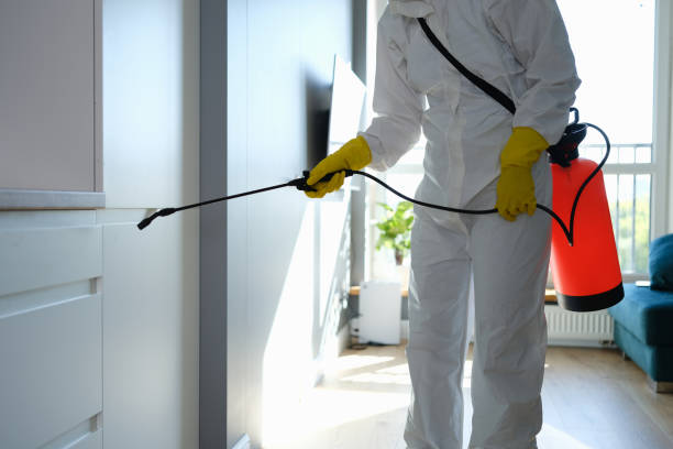 Trusted Yorklyn, PA Mold Removal Experts
