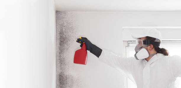 Best Mold Testing  in Yorklyn, PA